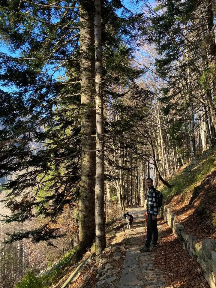 Terzalpe - copertina dell'escursione con atmosfera naturale e raccolta.