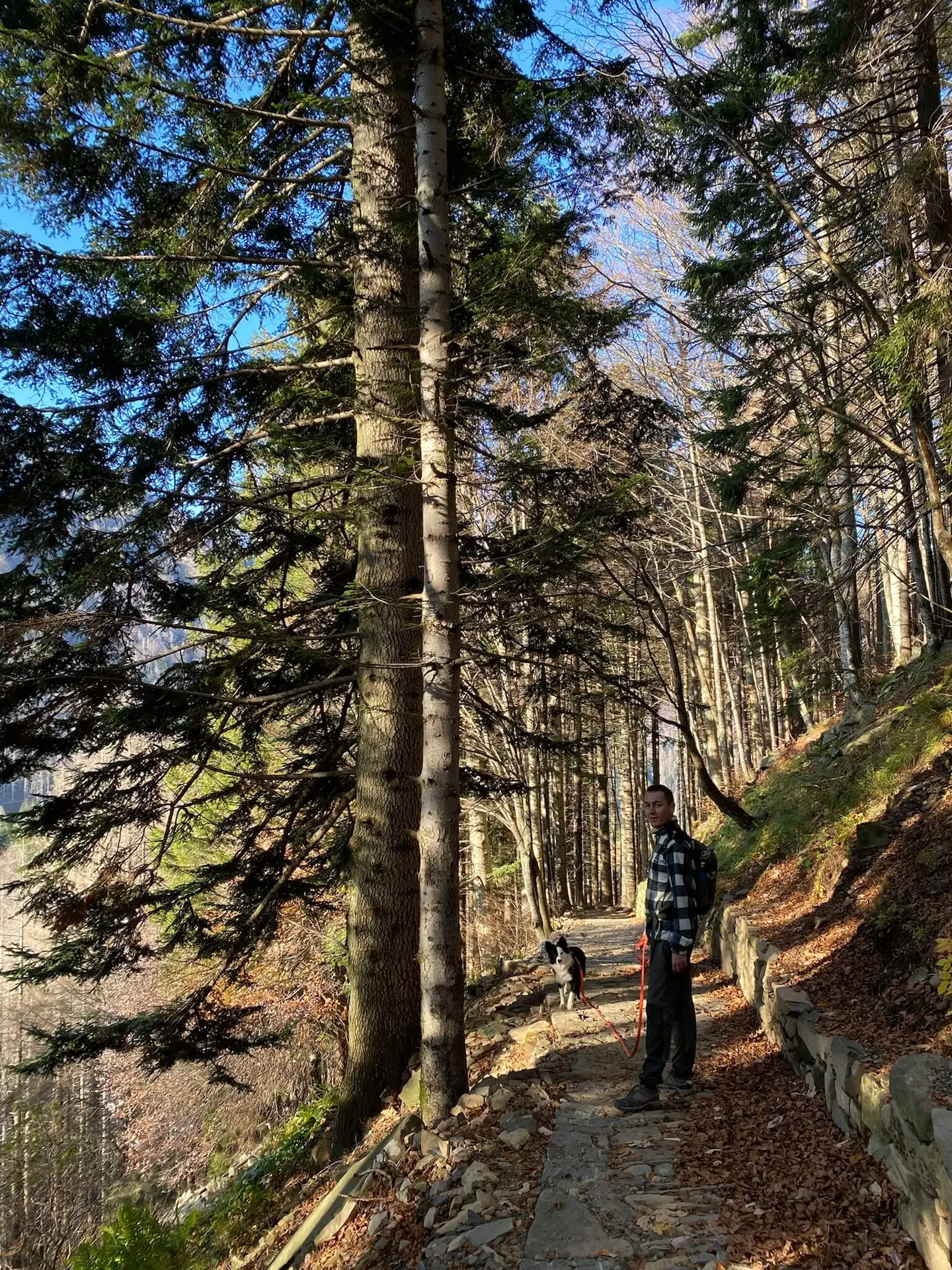 Terzalpe - copertina dell'escursione con atmosfera naturale e raccolta.