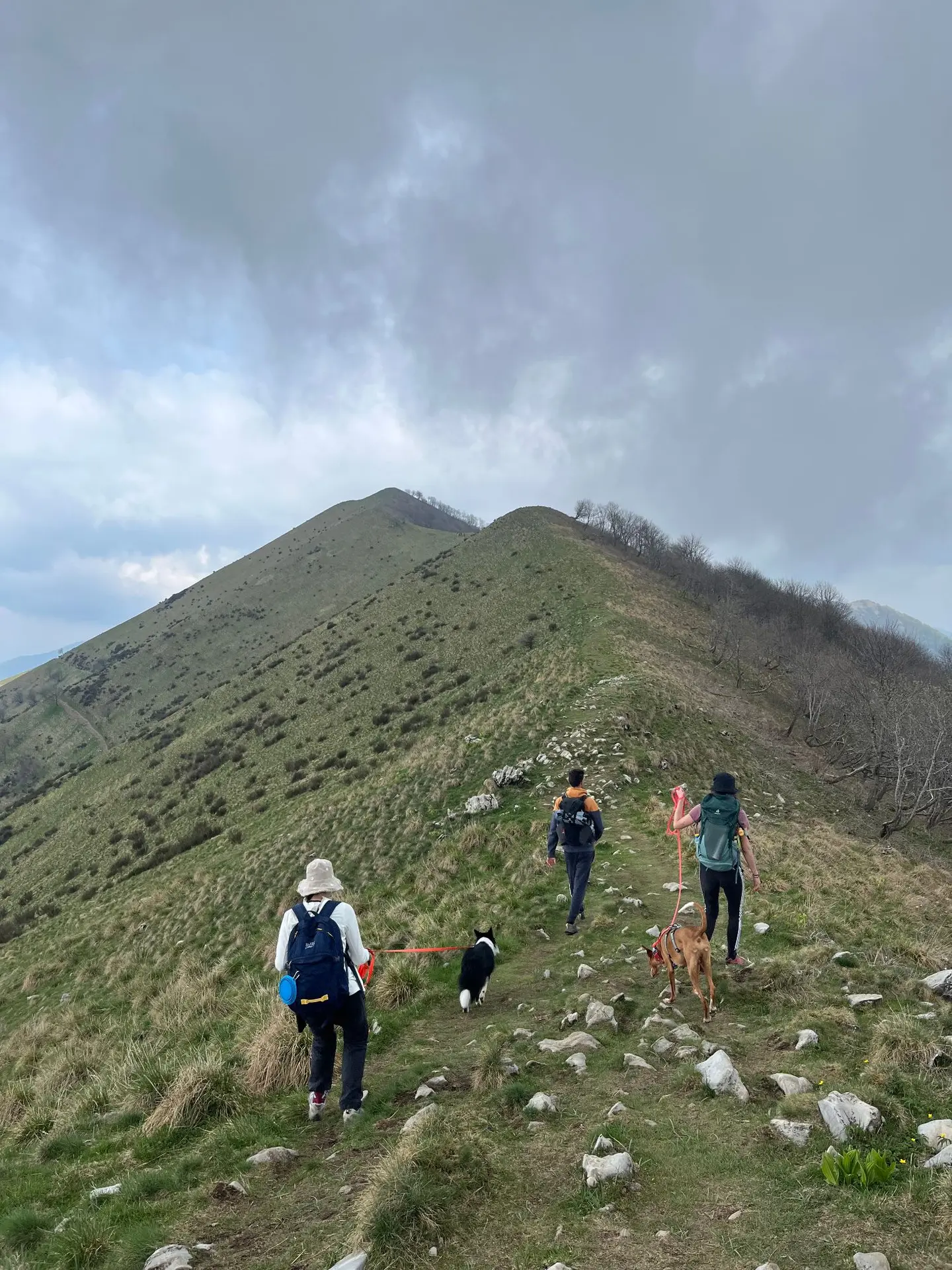Monte San Primo - immagine di copertina dell'escursione.