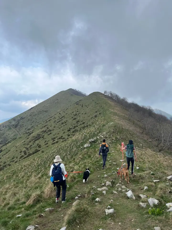Monte San Primo - immagine di copertina dell'escursione.