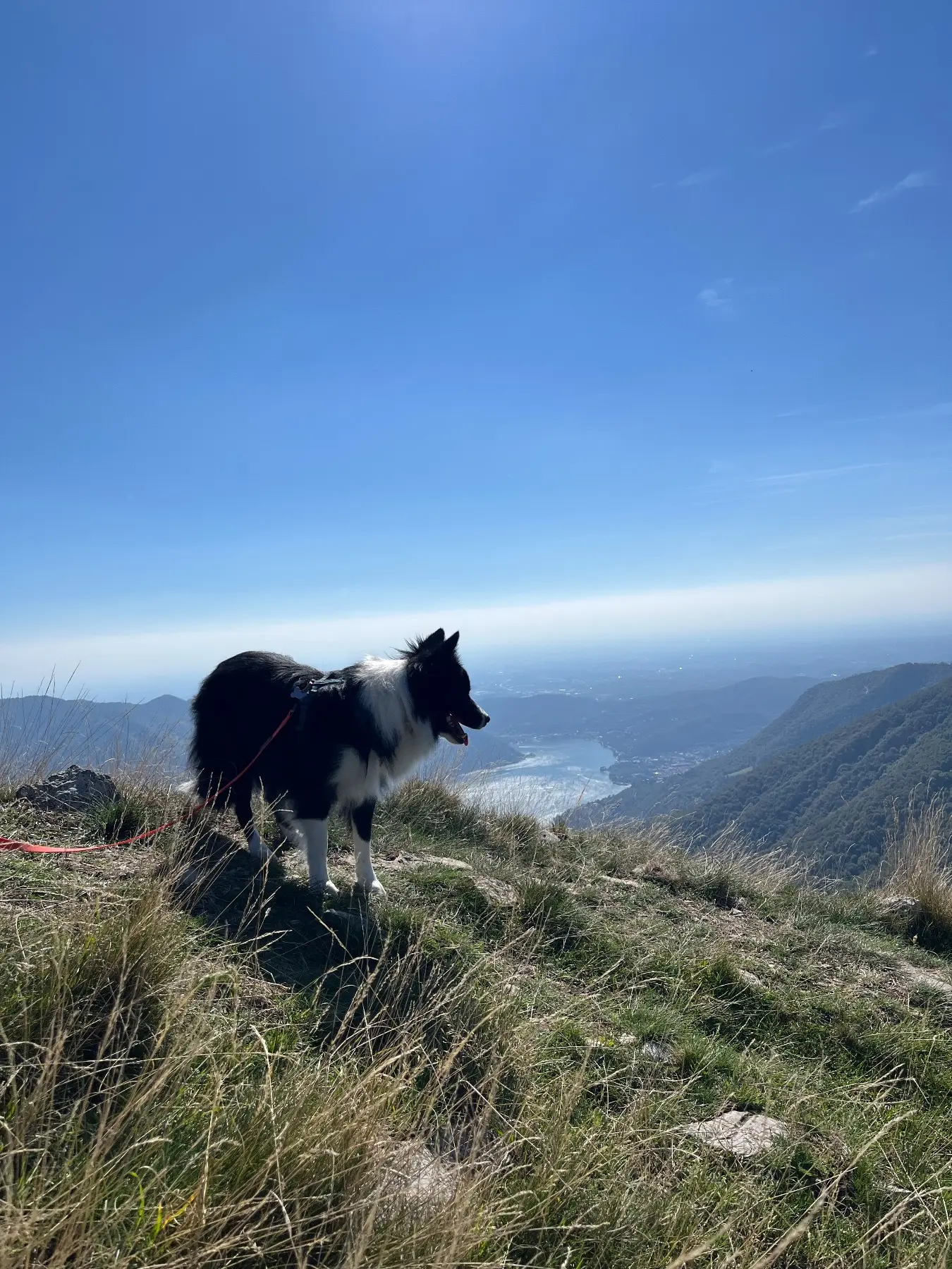 Monte Colmegnone - immagine di copertina dell'escursione.