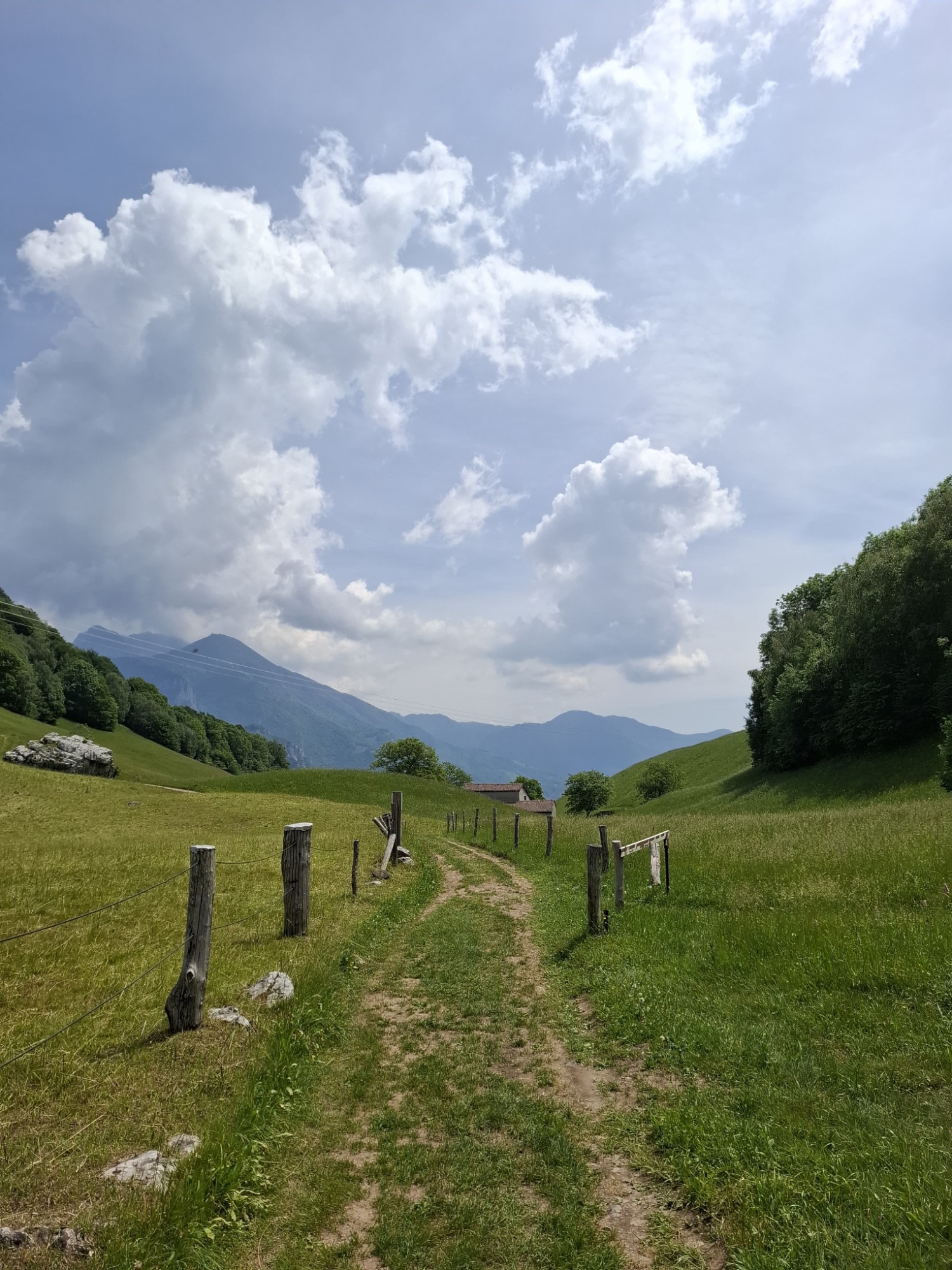 Piani di Nava - foto 02 della galleria.