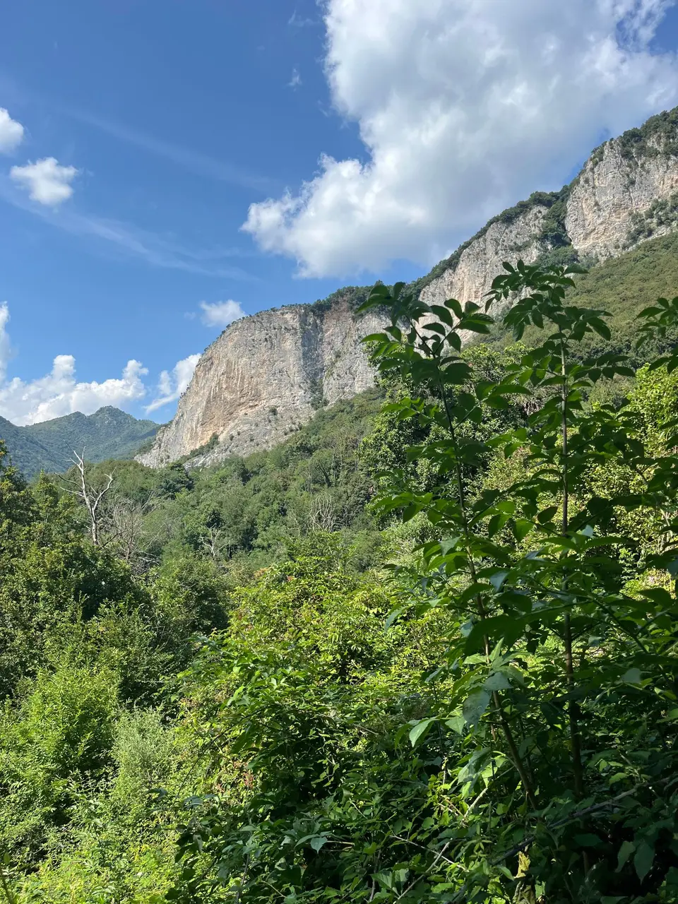 Pareti rocciose e bosco sotto il cielo azzurro nei dintorni del Monte Spedone.